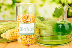 Pen Rhiw Fawr biofuel availability